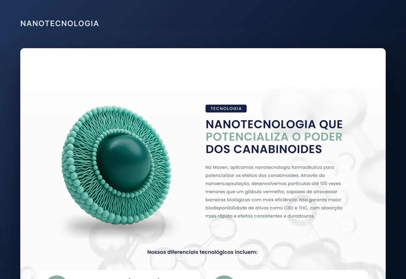 Nanotechnology section, explaining the formulation