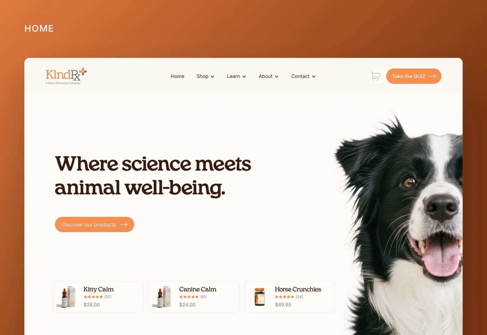 KindRx homepage on desktop